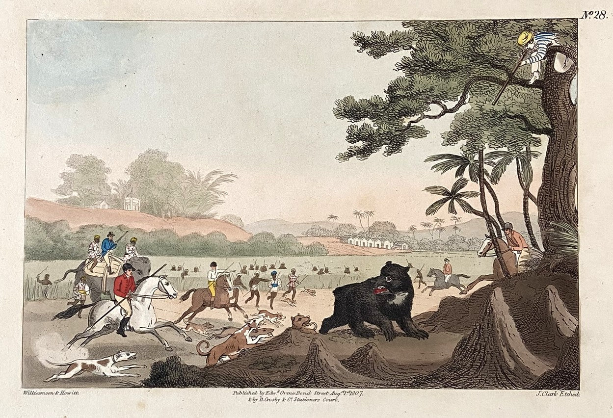 After Thomas Williamson (1758-1817) and Samuel Howett (British, 1765-1822) -Driving a Bear out of Sugar Canes, Hand Coloured Aquatint