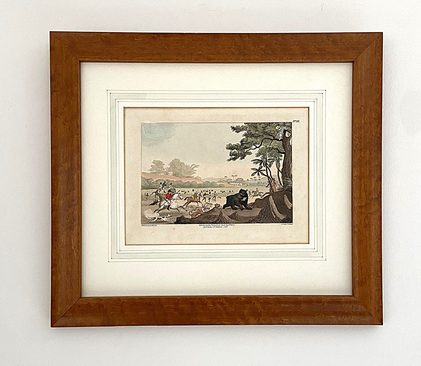 After Thomas Williamson (1758-1817) and Samuel Howett (British, 1765-1822) -Driving a Bear out of Sugar Canes, Hand Coloured Aquatint