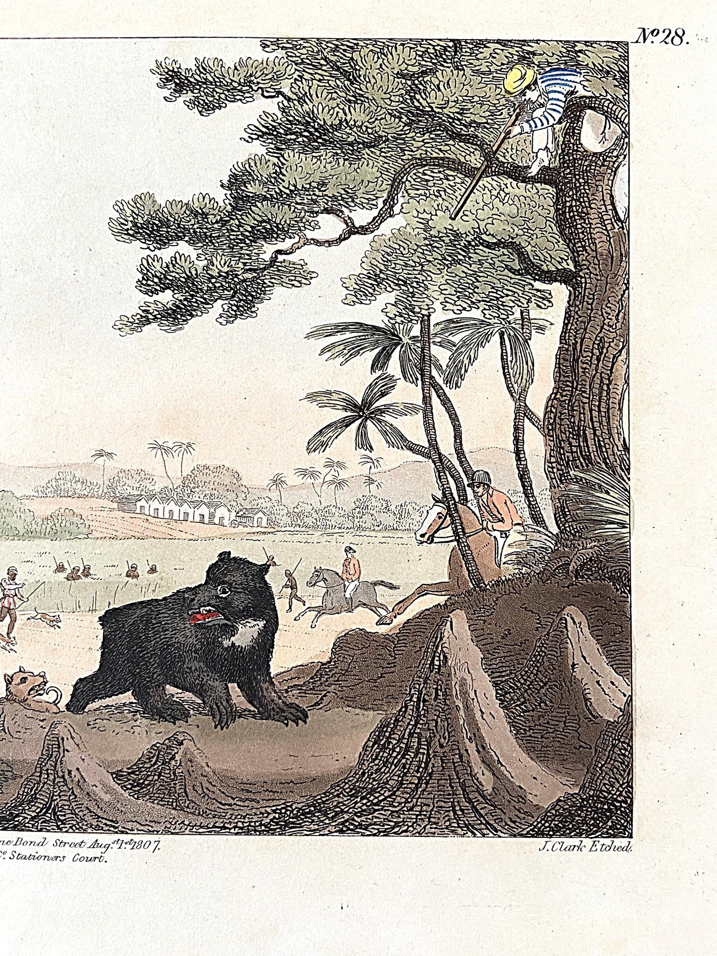 After Thomas Williamson (1758-1817) and Samuel Howett (British, 1765-1822) -Driving a Bear out of Sugar Canes, Hand Coloured Aquatint