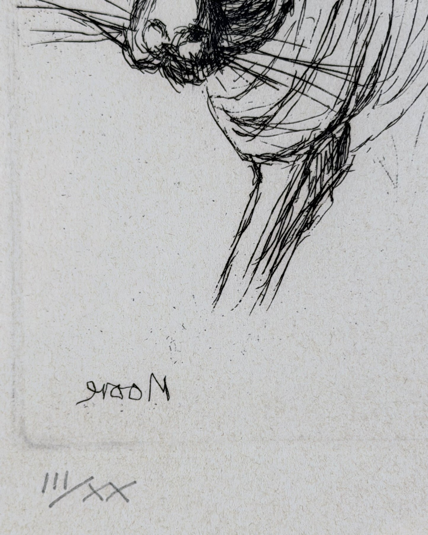 Henry Moore OM CH (1898–1986) Etching 'Tiger' 1982