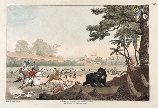 After Thomas Williamson (1758-1817) and Samuel Howett (British, 1765-1822) -Driving a Bear out of Sugar Canes, Hand Coloured Aquatint